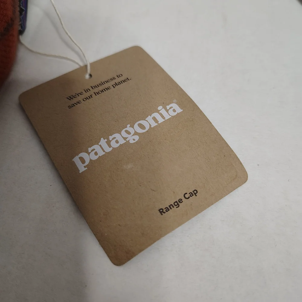Patagonia stylish cap